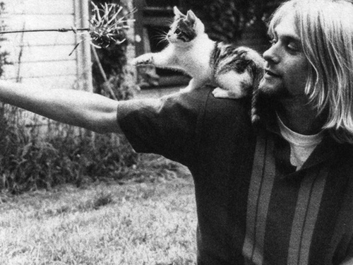 Kurt Cobain and cat