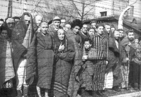 Prisioneros judíos en Auschwitz