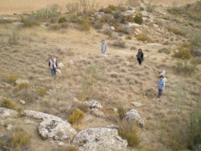 Un enigmático y camuflado círculo de piedras